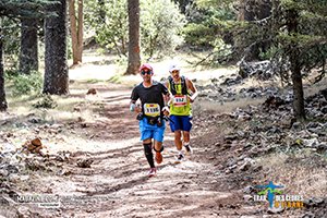 Trail Des Cèdres 2022 (Edition 13)